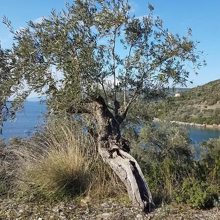 Casa de Férias Piges